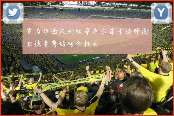 罗马与西汉姆联争夺本菲卡边锋谢尔德鲁普的转会机会